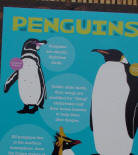 Norwalk Aquarium Penguin Summary plaque