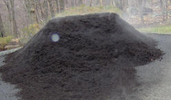 Steaming flat-topped mulch pile