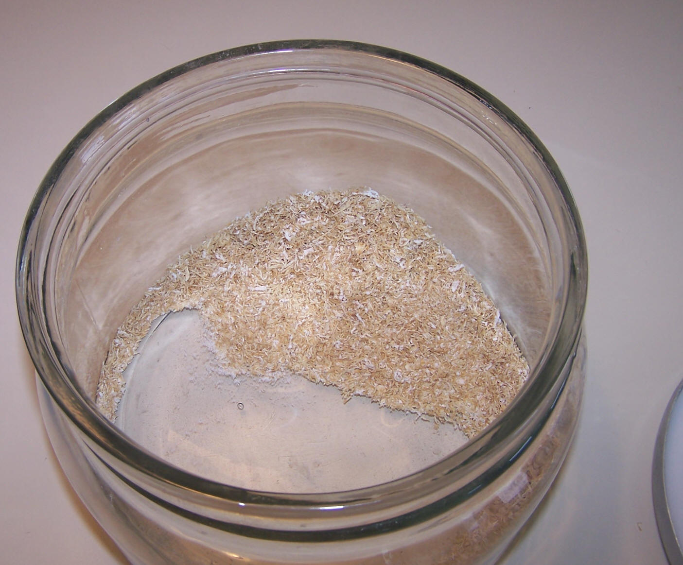 Shreds of wheat left in bowl after consumption of bite-size versions