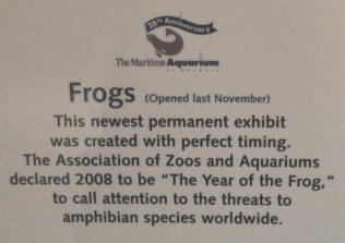 The Frog Exhibit at the Norwalk, CT Maritime Aquarium