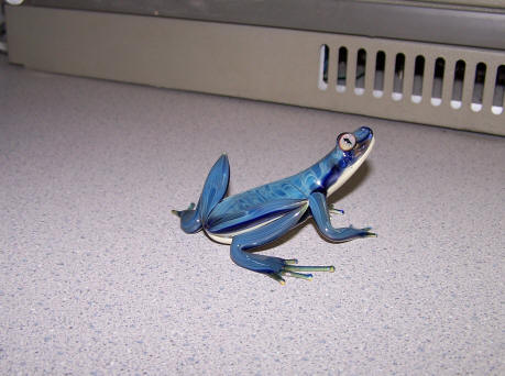 Scott Bisson glass frog (contemplating power supply)