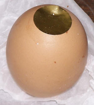 Substitute, anonymous chocolate egg. Sigh.