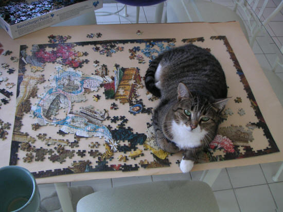 Snookie the cat on jigsaw puzzle