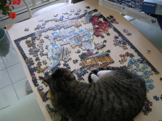 Snookie the cat contemplating jigsaw puzzle mayhem