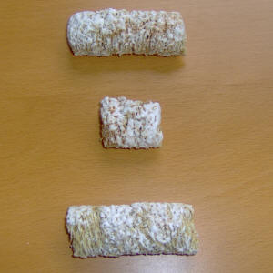 Mutant Mini-Wheats with a normal conspecific