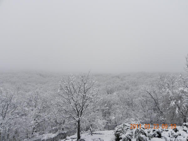 A white-out morning in northern New Jersey