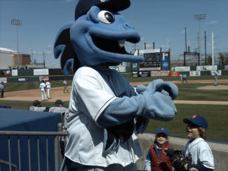 Mr. Bluefish, the Bridgeport Bluefish mascot