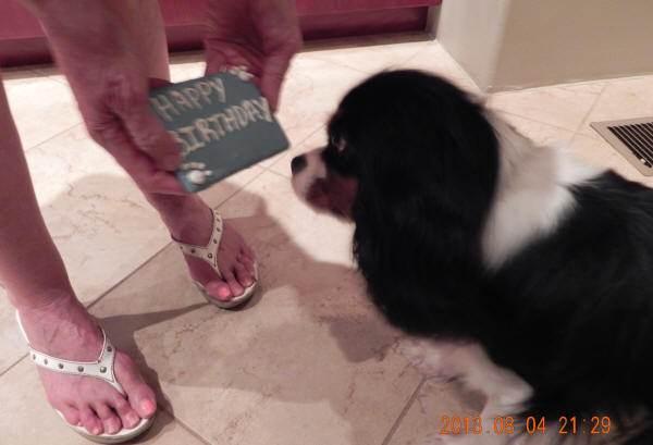 Winston the one-year-old puppy skeptically reads his card/cookie